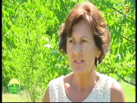 TV7, Dragica Mirjacic proizvodjac drenjina, korisnik kreditne podrske IRF-a.