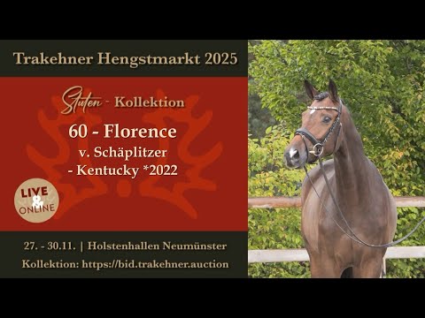60 - Florence -reiten- Stute v. Schäplitzer - Kentucky *2022