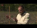160.000 jonge bomen geplant in Horsterwold