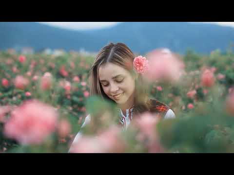Taif al Emarat - Rose Valley Cinematic Company Video