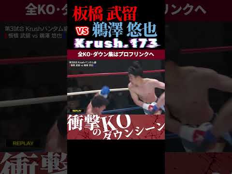 【Krush.173】板橋 武留 vs (欲望の拳)鵜澤 悠也 KOシーン/next 2025.5.18.Krush.174,175 チケット好評発売中