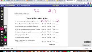 Self Esteem Worksheet Instructions