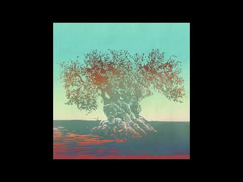 PREMIERE | Conflation Port - Merak [Accents Records] 2023