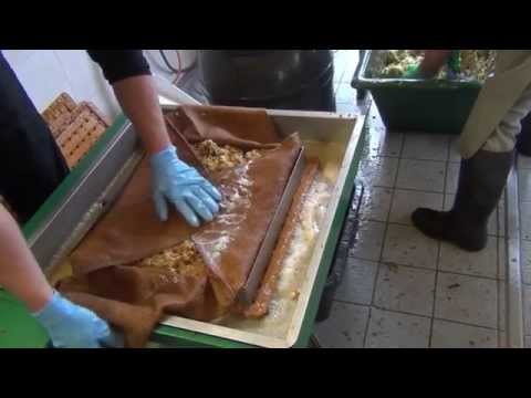 So wird Apfelsaft frisch gepresst