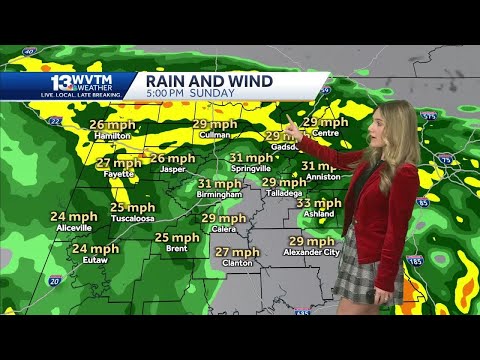 Heavy rain and gusty winds across Alabama through Sunday. Wind Advisory in effect for Birmingham....