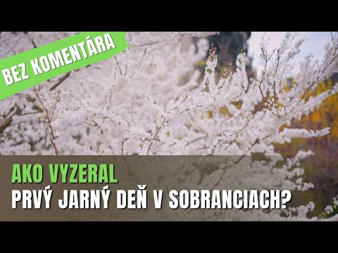 BEZ KOMENTÁRA: Jar je tu!