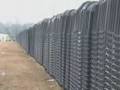 Fema Camp Coffins Investigated
