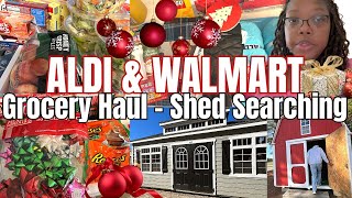 GROCERY HAUL ALDI AND WALMART - SHED SHOPPING - TINY HOMES?? JUST A THOUGHT! Mini Family Vlog