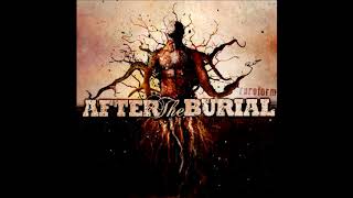 AFTER THE BURIAL - CURSING AKHENATEN