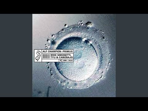 Parte Operantis (Tyu Remix)