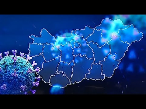 vizeleti protozoonok mit jelent a pikkelyes papilloma