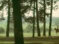 "Д'Артаньян и три мушкетера", клип 