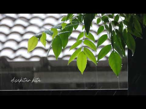 RAIN (DU), Hujan, musik, menenangkan, Relaxing music, rain sounds, rain music for sleep