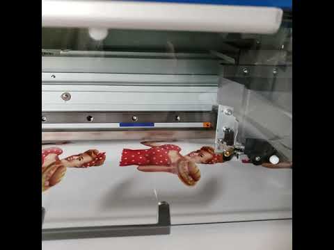 Roland SG2 300 print business - Image 2