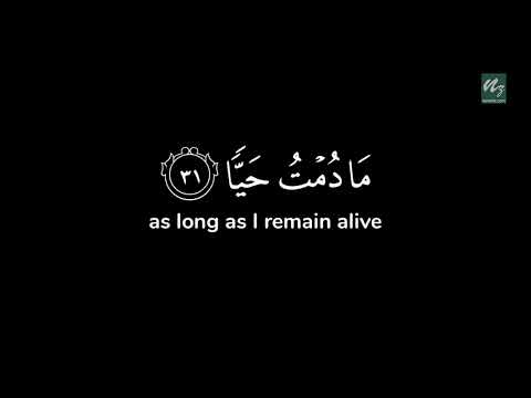 Jesus said that he is indeed a servant of Allaah #jesus #prophet
