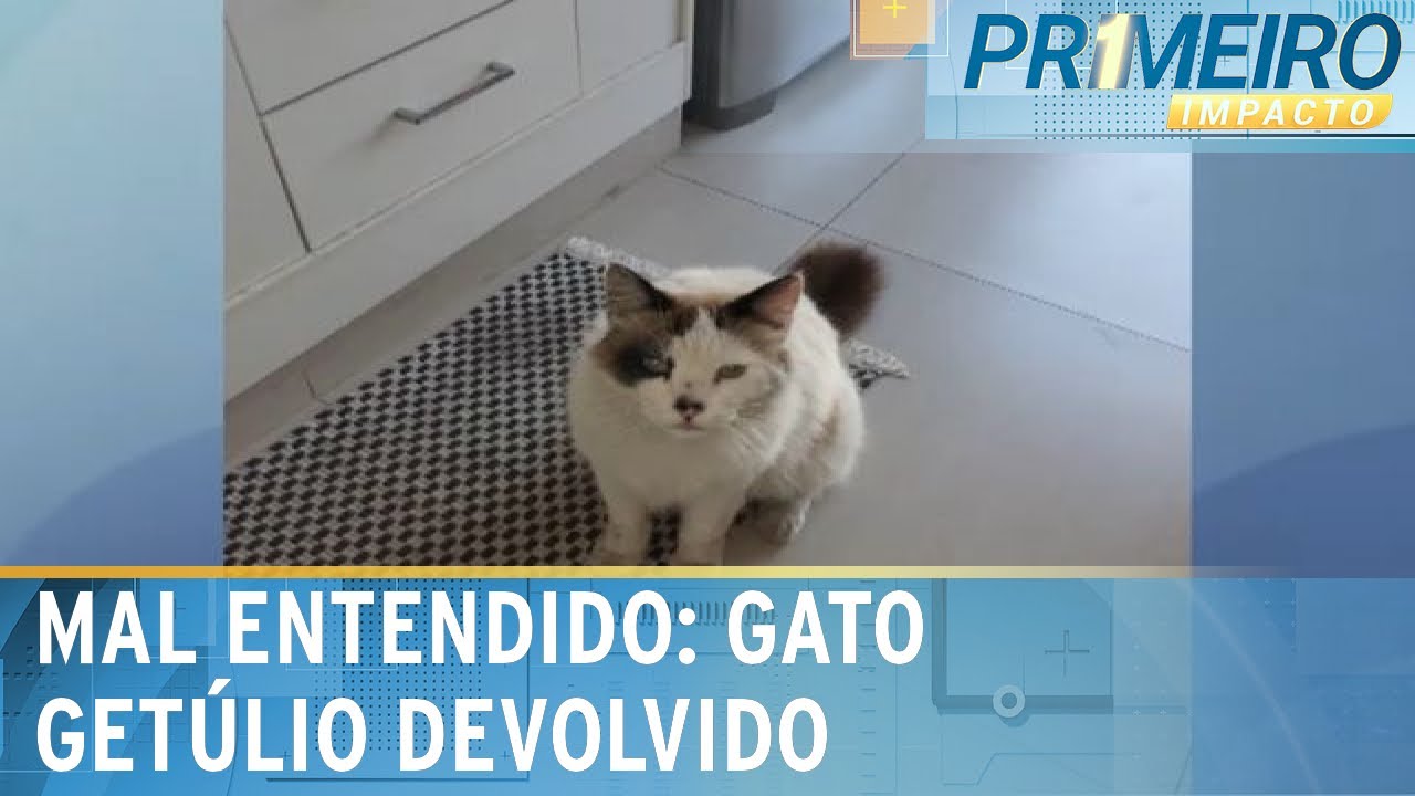 Gato Getúlio é devolvido; dupla o levou achando que estava abandonado | Primeiro Impacto (24/10/24)