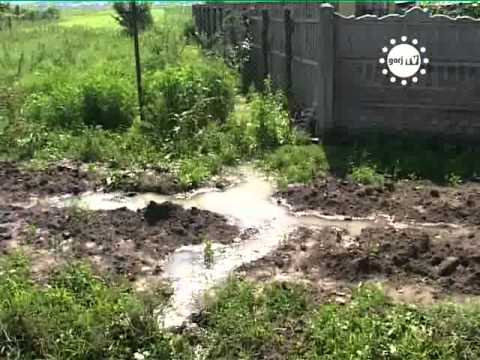 STIRIILE GORJTV   LOCALNICII DIN TANTARENI, BUNI DE PLATA