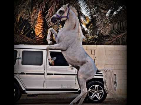 Round Table Knights Vs Bauchamp - Calypso (Radio Edit)