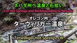 オレゴン州ターウィルガー温泉 ４月 / Terwilliger Hot Springs of Oregon in April