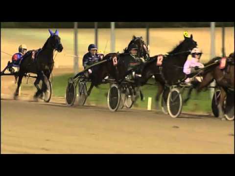 Victoria Park Wolvega 19-2-2016 KOERS 3 VALERIO JET - A. POSTHUMUS