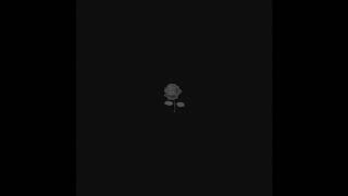 TYuS // City of the Rose