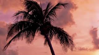 Cinderella (She Said Her Name) Original Mix - Bob Sinclar