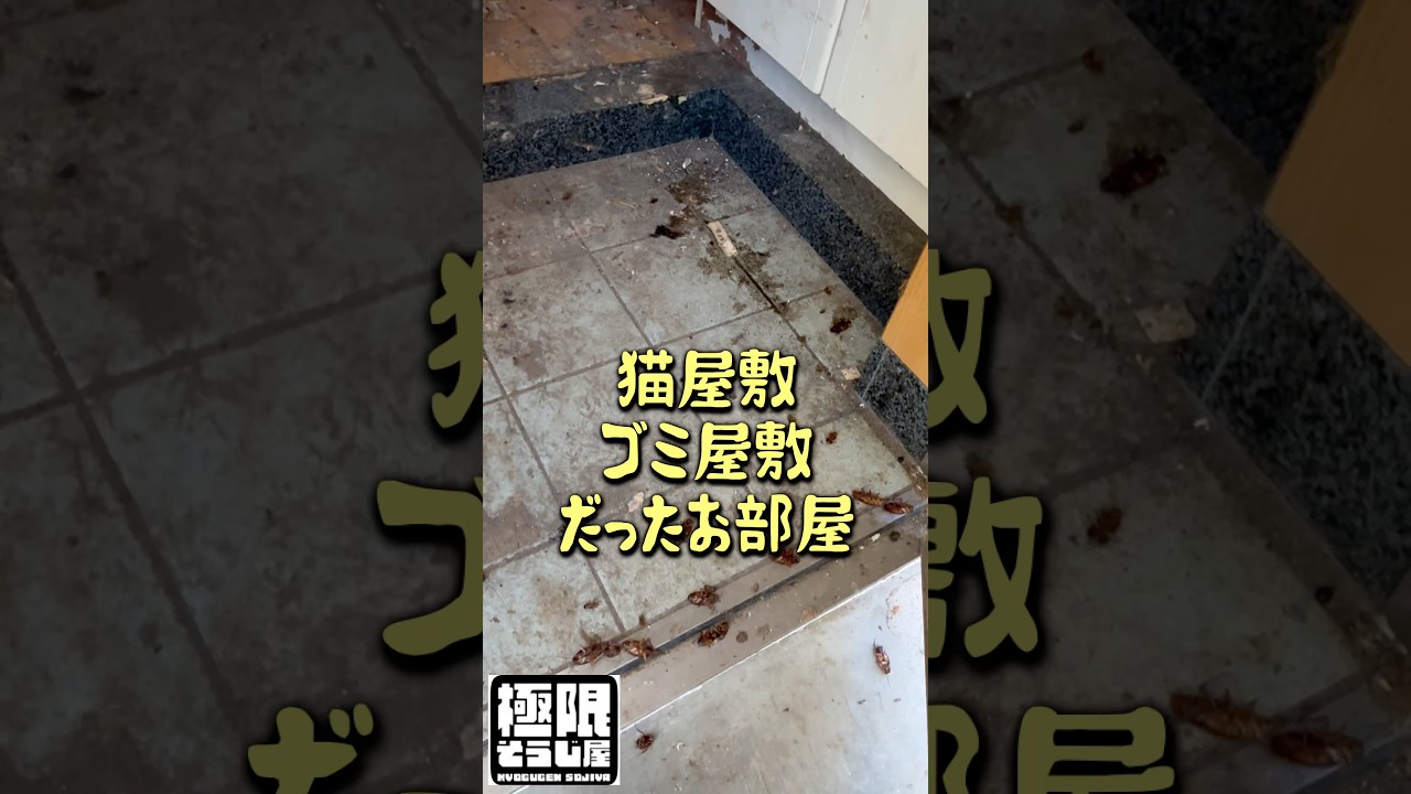 ・・・○○環境 #shorts