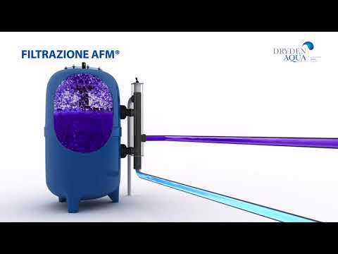 Dryden Aqua DAISY Italian