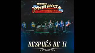 Conjunto Primavera - Después de Ti 🎷 2017