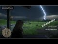 RDR2 Online Watchmen 12th Elegantstyle Vs C M Montage
