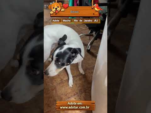 Vídeo de Bento 