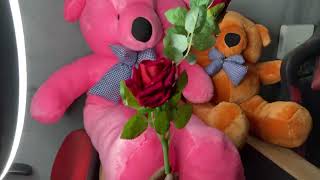 Cute Teddy Bear Collection Bangladesh | সফট টয় ডেলিভারি | Best Gift BD | teddybearbd.com