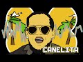 REMIX CANELITA - CANTAR Y BAILAR