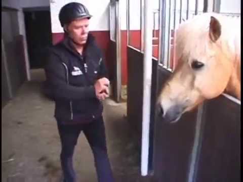 Bless, Bless means "Goodbye"!