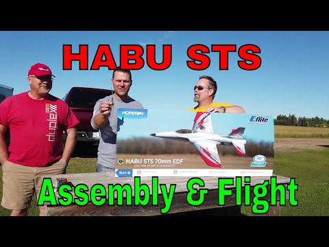 EFLITE HABU STS - PERFECT RC Smart Jet for Beginners - Unboxing / Full Flight E-flite