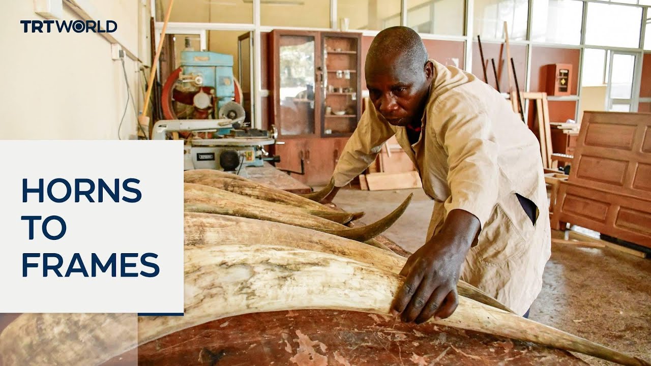 Ugandan start-up turns cow horn waste into affordable eyewear