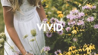 Louis Mattrs - Pink Lemonade