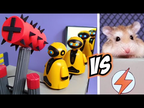 Major HAMSTER vs CAT in ROBOT BATTLE