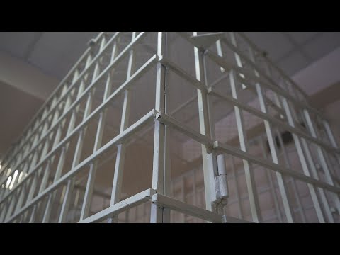 ПРИГОВОР ЗА ЖЕСТОКОСТЬ | Новости Камчатки | Масс Медиа