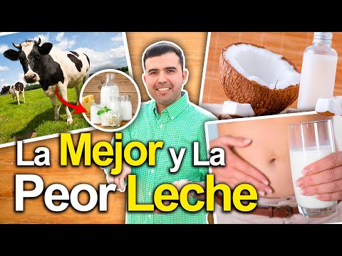 Te Decimos Qué Tipo De Leche Es Mejor Para Tu Salud