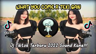 Download lagu DJ WHAT YOU COME X TEKI GAN PARGOY SANTUY BASS JEDUG mp3