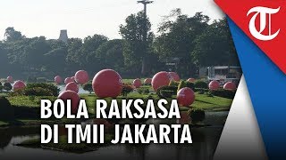 Bola Merah Besar Tiba-tiba Muncul di Taman Mini Indonesia Indah, Ada Apa Sebenarnya?