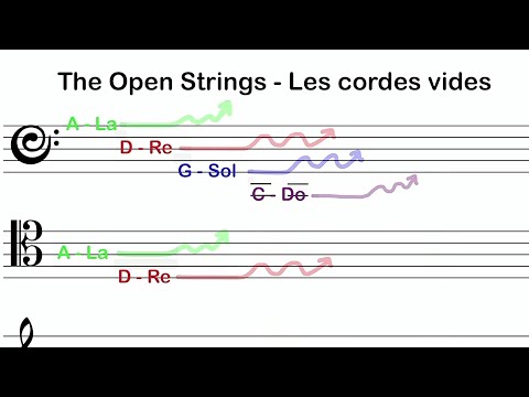 How to Read Notes in Bass Clef on Cello - a Beginner Cello Lesson | Basics of Cello