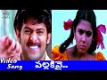 PRABHAS AND CHARMI PALLAKIVAI VIDEO SONG POURNAMI MOVIE Devisriprasad Songs