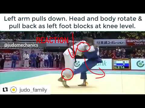 JUDOMECHANICS #25 | SASAE-TSURI-KOMI-ASHI