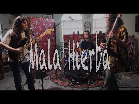 Simius GOLD live - Malahierba