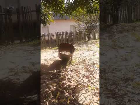 Vendo este terreno na cidade de Manoel Urbano  no Acre. Interessados entrar em contato 68999236768.