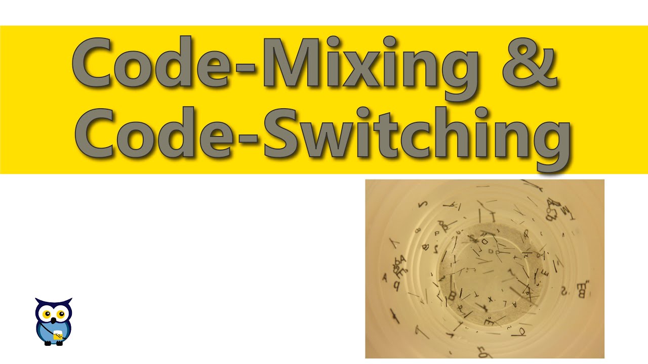 What is code mixing with examples? Any Answers EN