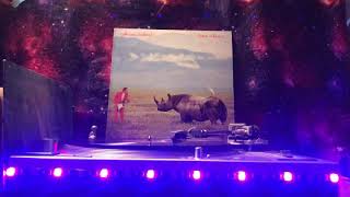 Adrian Belew - Adidas In Heat