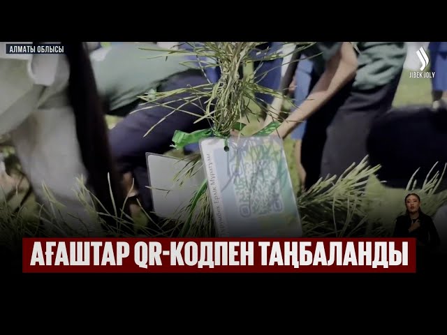 Ағаштар QR-кодпен таңбаланды